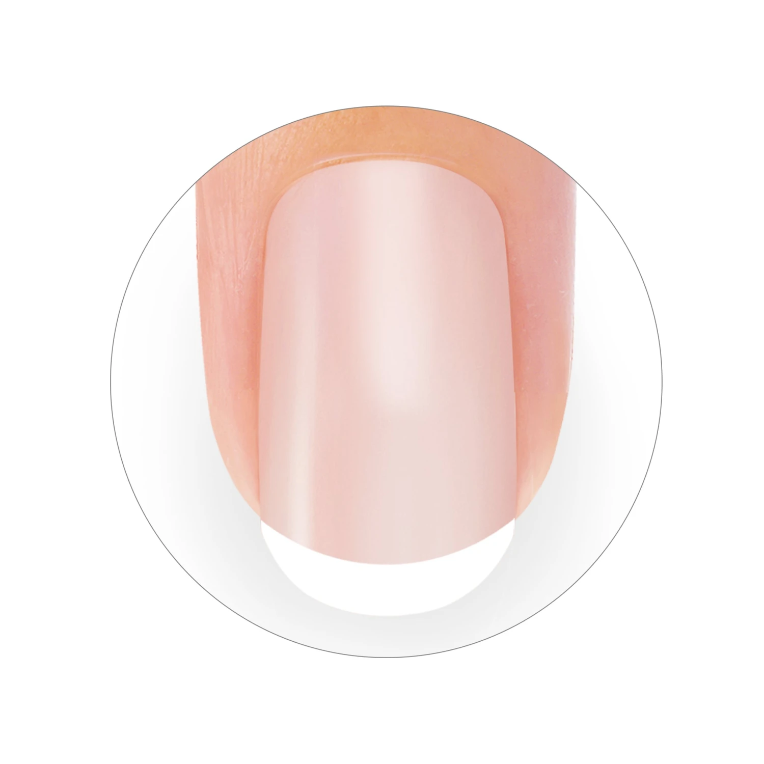 Edge Trimmer French 8 Edge Trimmer French – Bild 6