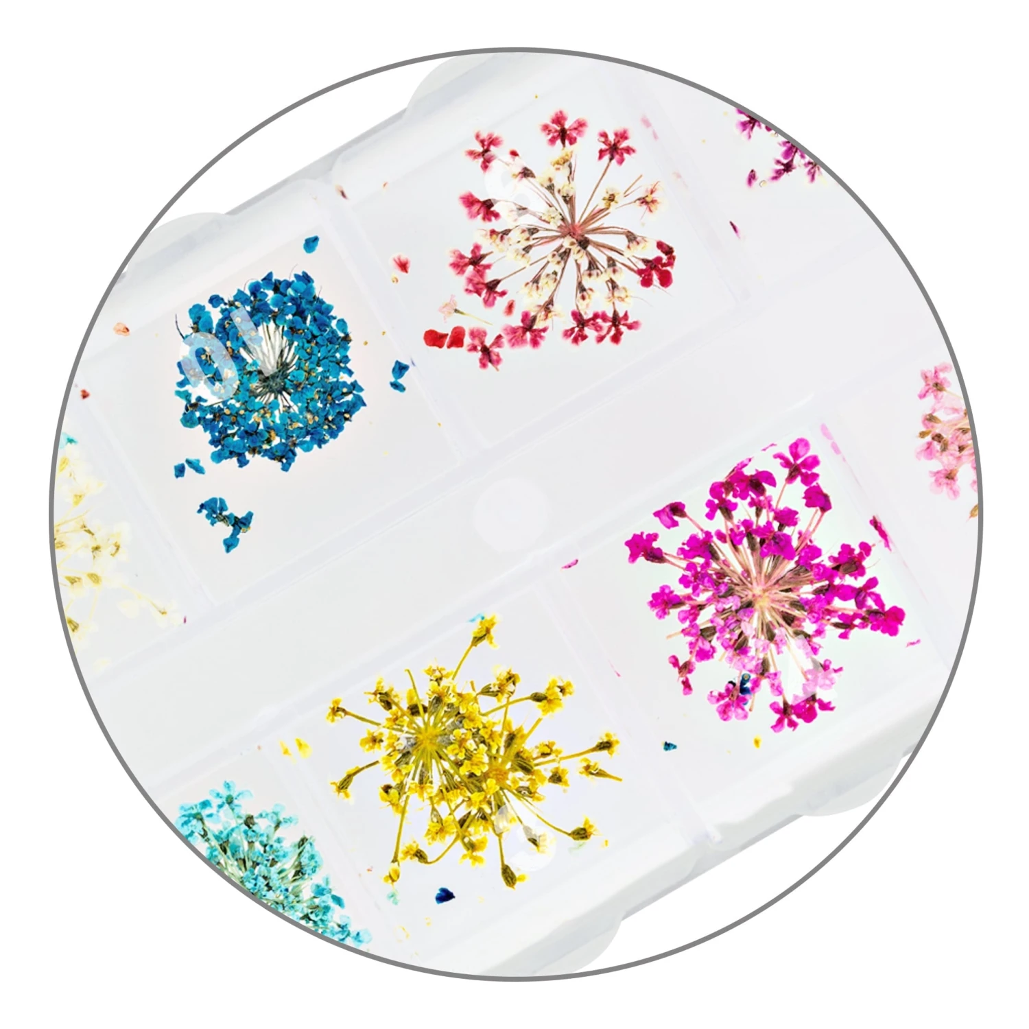 Nailart Dry Flowers 8 Nailart Dry Flowers – Bild 6