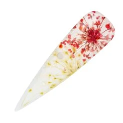Nailart Dry Flowers 19 Nailart Dry Flowers -Nagelgeräte Geschäft 4204662 2
