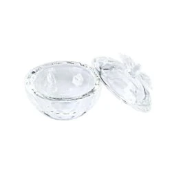 Dappen Dish Glas Mit Deckel -Nagelgeräte Geschäft 4204951 1