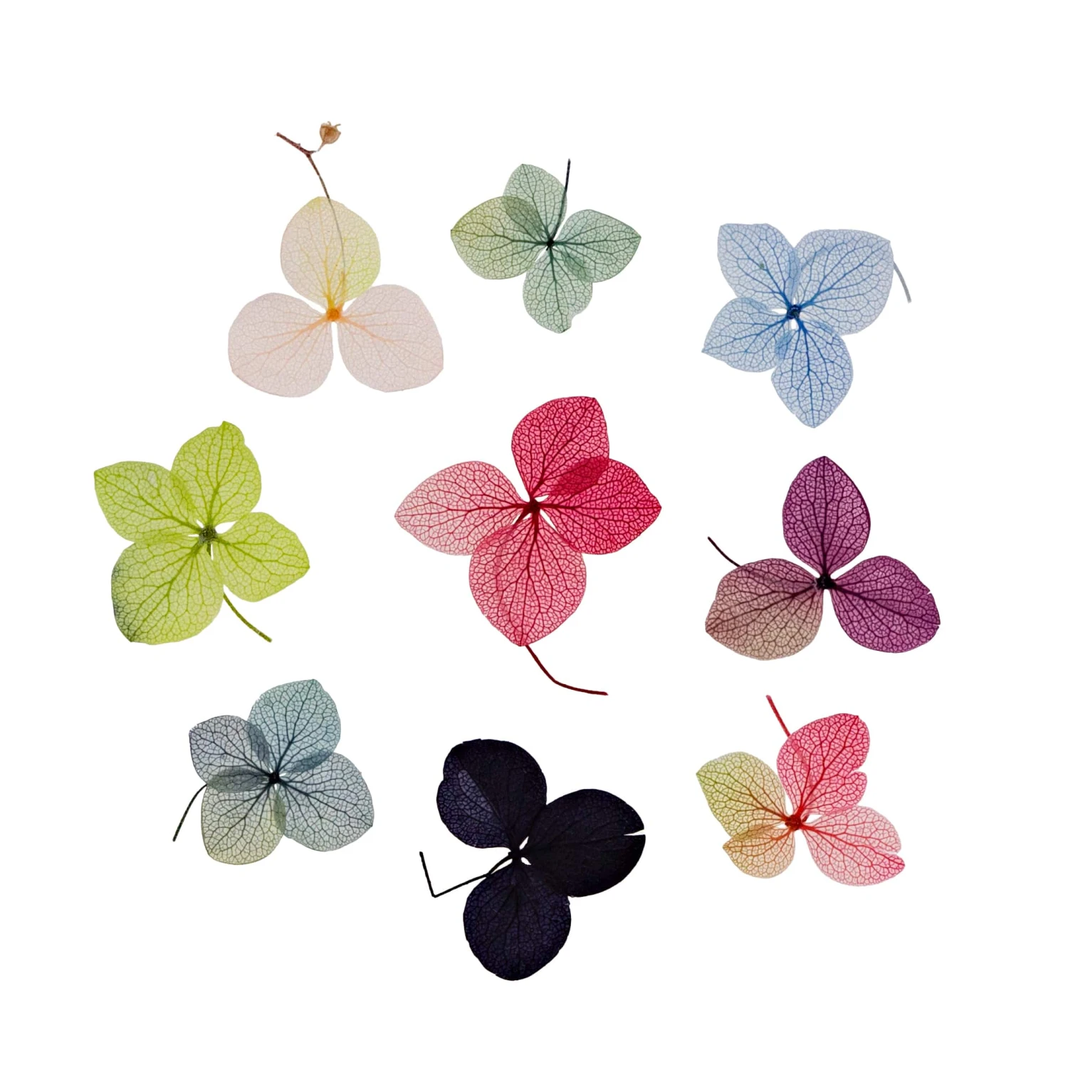 Nailart Dry Flowers 4 Nailart Dry Flowers – Bild 2