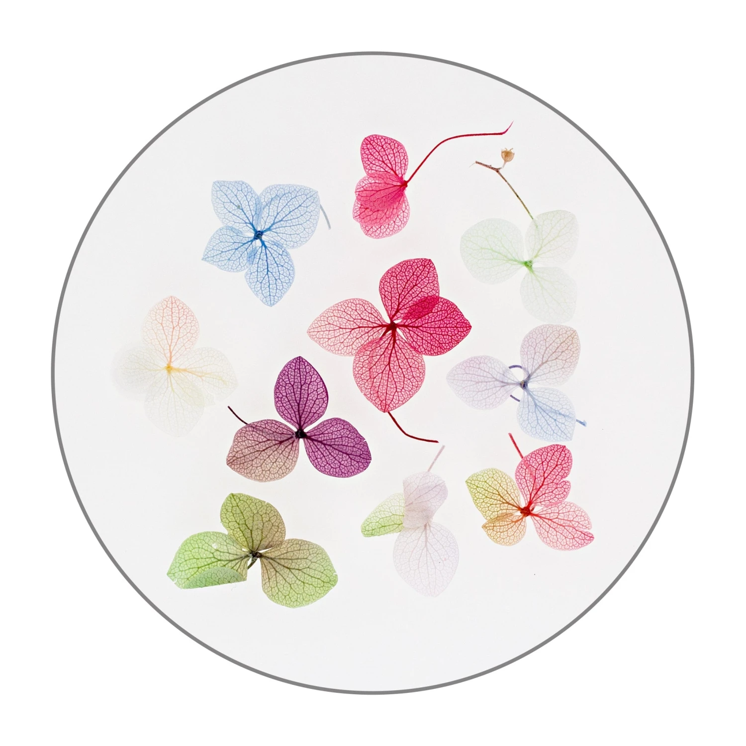 Nailart Dry Flowers 5 Nailart Dry Flowers – Bild 3