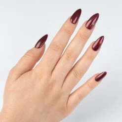 X Press On Starter Set -Nagelgeräte Geschäft 4205713 14 d8e2896c 9b1d 4eae b68a d484e2e7741d