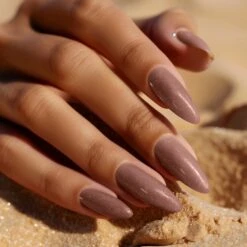 Soak Off Shellac Cappuccino Kiss -Nagelgeräte Geschäft 61P6926043 a