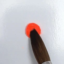 ACRYLIX Summer Splash Powder Bundle 13 ACRYLIX Summer Splash Powder Bundle -Nagelgeräte Geschäft ACP 75 MI 028 1