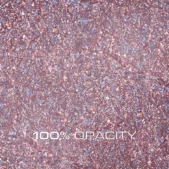 004 ACRYLIX Gel Pixie Twinkle 10 004 ACRYLIX Gel Pixie Twinkle -Nagelgeräte Geschäft ACRYLIX Gel opacity 004