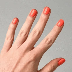 036 Soak Off Shellac Elektric Salmon -Nagelgeräte Geschäft Shellac036GIF